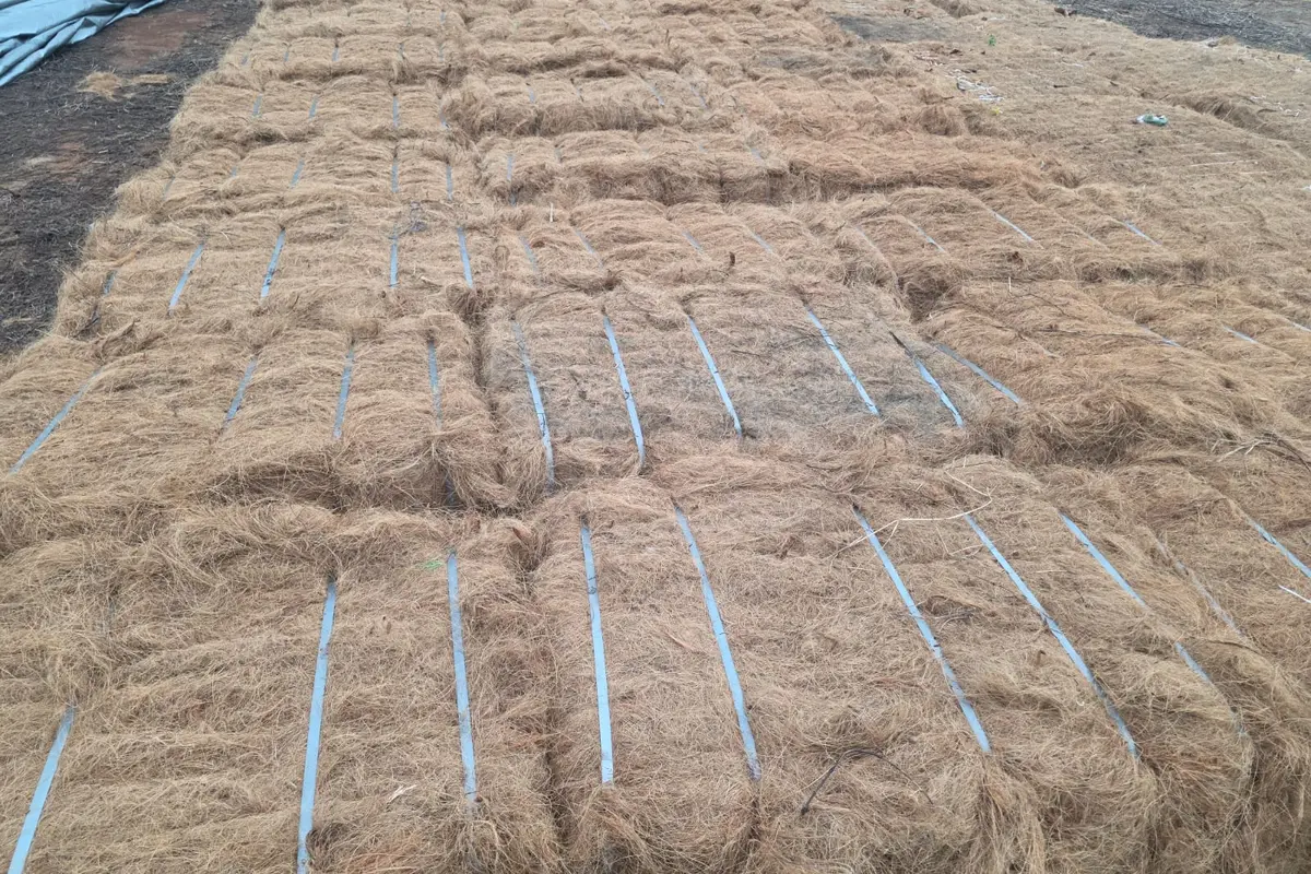 Natural coconut fiber bales prepared for export